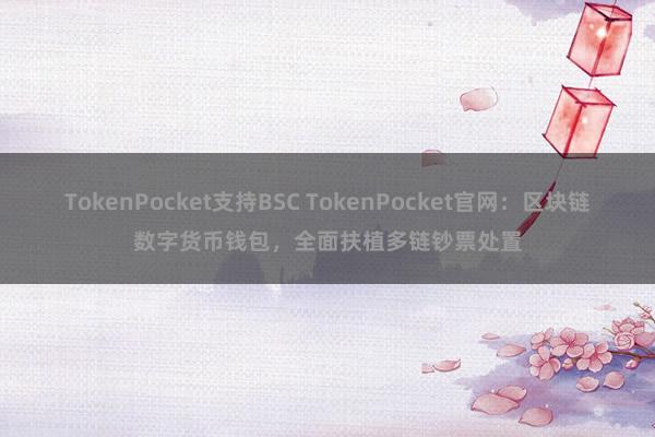 TokenPocket支持BSC TokenPocket官网：区块链数字货币钱包，全面扶植多链钞票处置